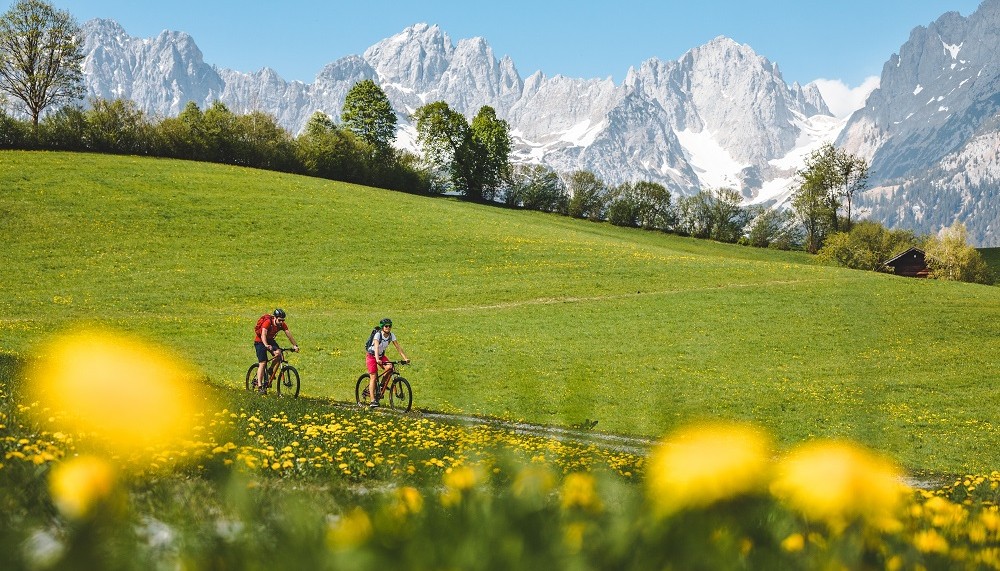 Zwei Mountainbiker genießen die gemütliche Abfahrt, welche an einer farbenfrohen Blumenwiese vorbeiführt 